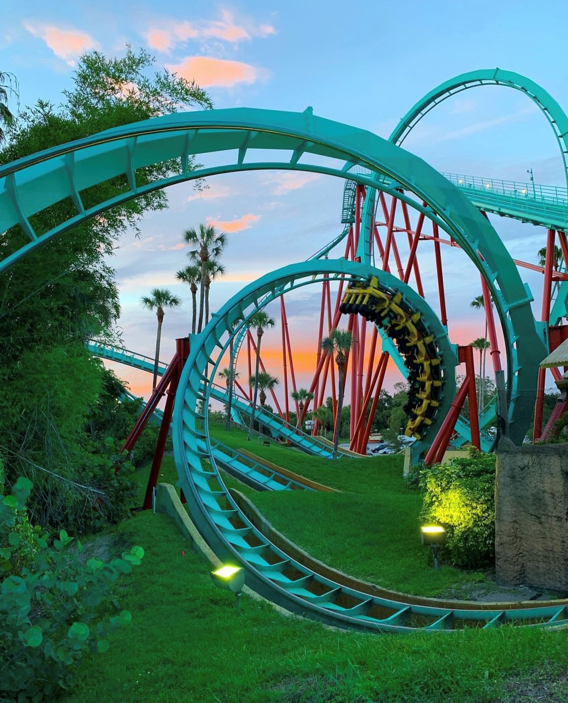 Busch Gardens Tampa Bay Roller Coasters Review